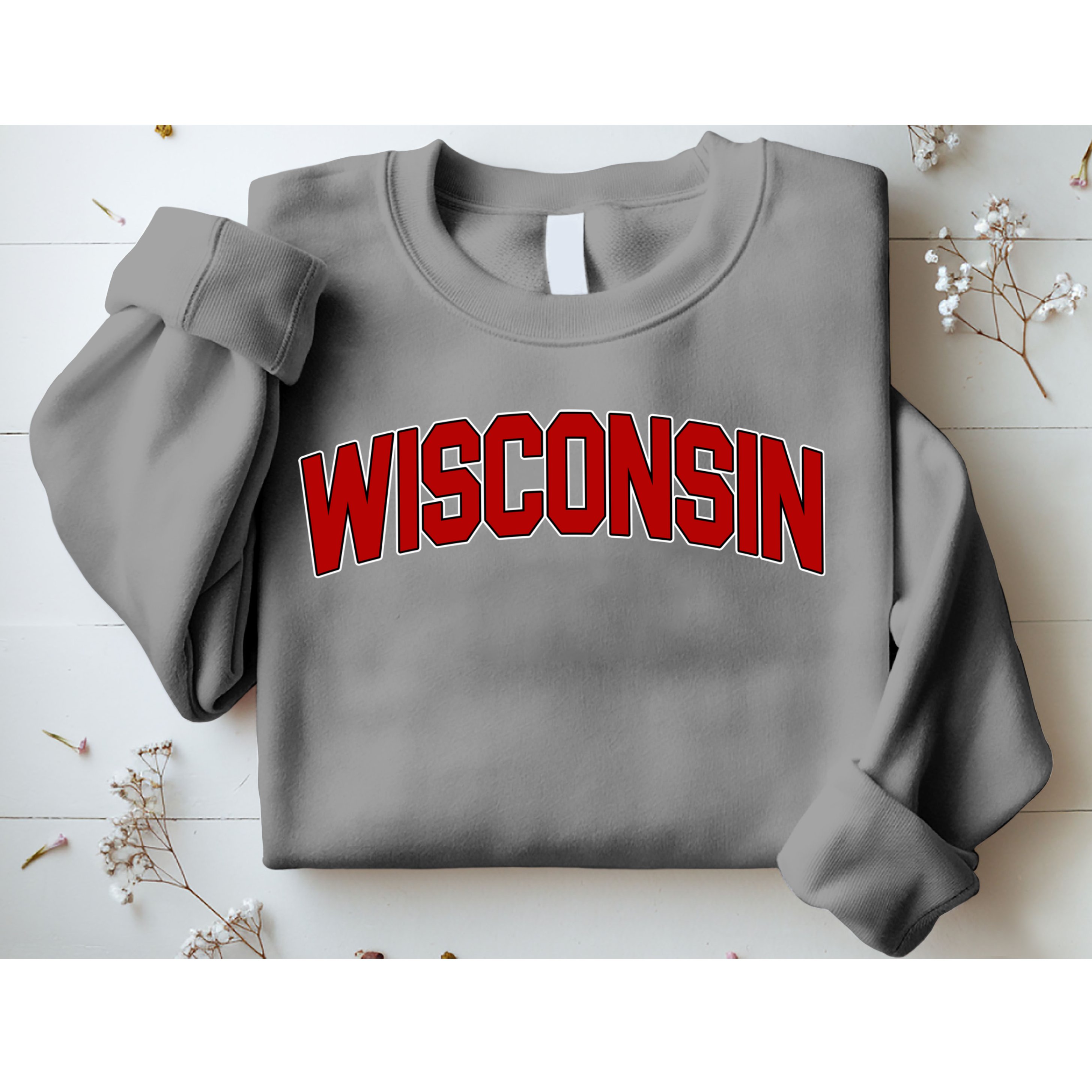 Wisconsin Retro State Sweatshirt