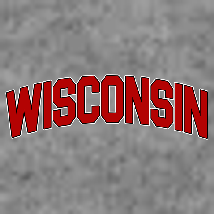 Wisconsin Retro State T-Shirt