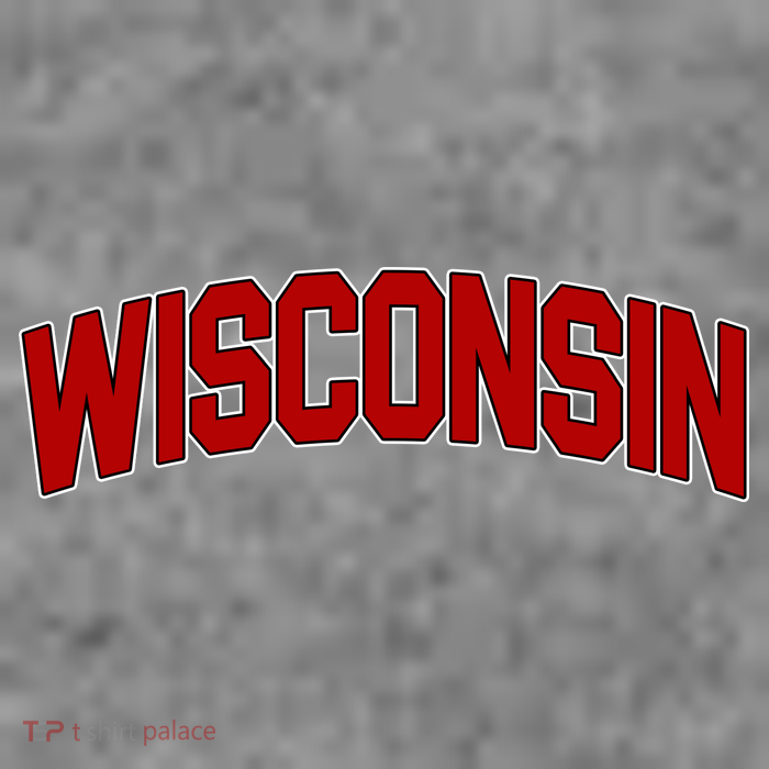 Wisconsin Retro State Sustainable Knit Beanie