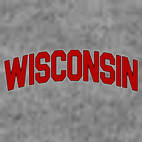 Wisconsin Retro State Womens T-Shirt