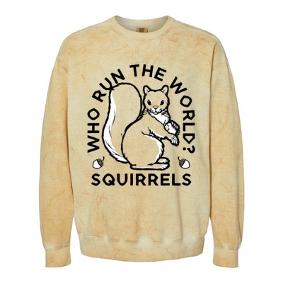 Who Run The World? Squirrels Colorblast Crewneck Sweatshirt