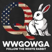 White Rabbit US Flag Q Anon 7 Panel Mesh Trucker Snapback Hat