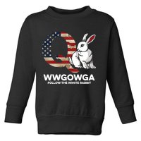 White Rabbit US Flag Q Anon Toddler Sweatshirt