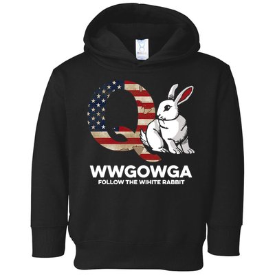 White Rabbit US Flag Q Anon Toddler Hoodie