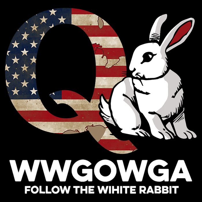 White Rabbit US Flag Q Anon Toddler Hoodie