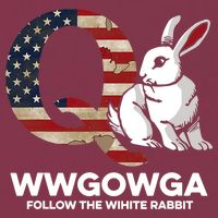 White Rabbit US Flag Q Anon 16oz Travel Tumbler