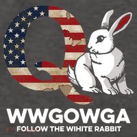 White Rabbit US Flag Q Anon Vector Backpack