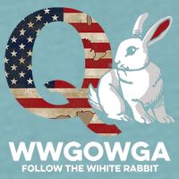 White Rabbit US Flag Q Anon Sueded Cloud Jersey T-Shirt