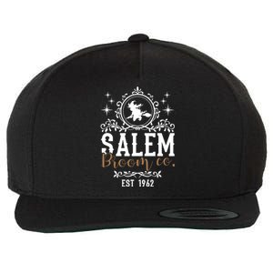 Witches Salem Broom Company Funny Halloween S Witch Cool Gift Wool Snapback Cap