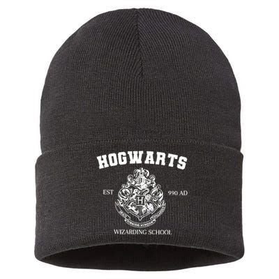 Wizarding School Bookish Sustainable Knit Beanie