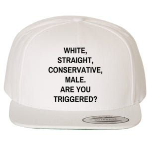 White Straight Conservative Male Are You Triggered Wool Snapback Cap