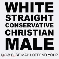 WHITE STRAIGHT CONSERVATIVE CHRISTIAN MALE Offensive Tall T-Shirt