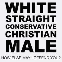 WHITE STRAIGHT CONSERVATIVE CHRISTIAN MALE Offensive Premium T-Shirt