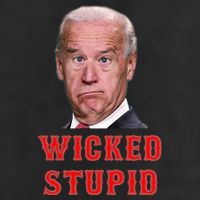 Wicked Stupid Funny Joe Biden Boston Adult Drive Performance Visor