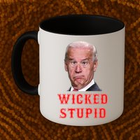 Wicked Stupid Funny Joe Biden Boston Mug