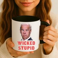 Wicked Stupid Funny Joe Biden Boston Mug