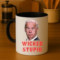 Wicked Stupid Funny Joe Biden Boston Mug