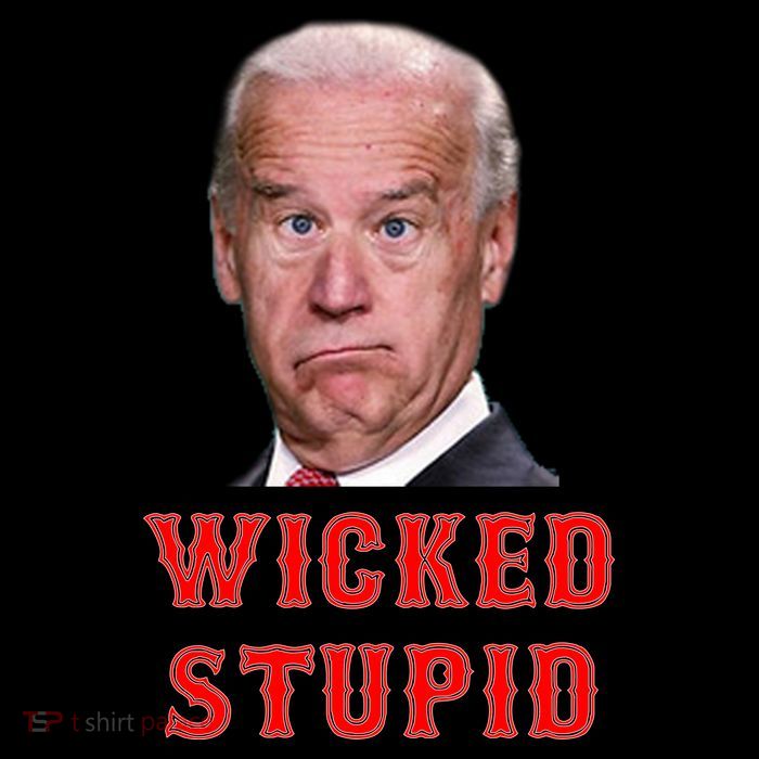 Wicked Stupid Funny Joe Biden Boston Mug