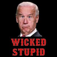 Wicked Stupid Funny Joe Biden Boston Cropped Pullover Crew