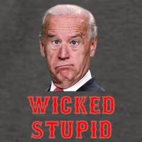 Wicked Stupid Funny Joe Biden Boston Vector Backpack