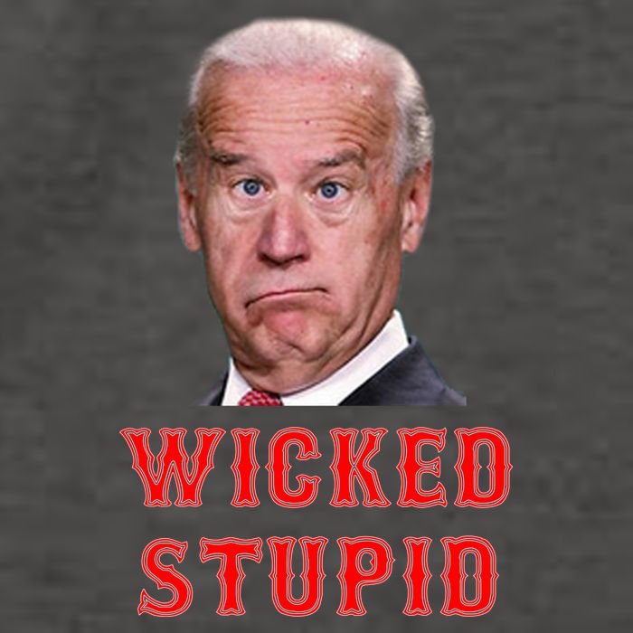Wicked Stupid Funny Joe Biden Boston Vector Backpack