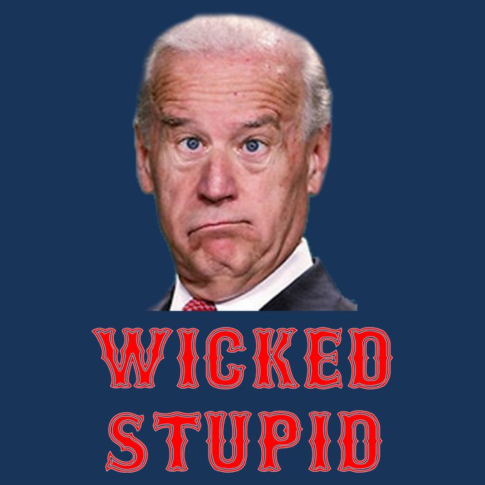 Wicked Stupid Funny Joe Biden Boston Drawstring Bag