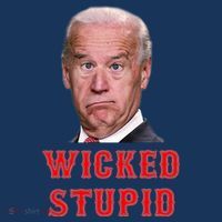 Wicked Stupid Funny Joe Biden Boston Baby Bodysuit