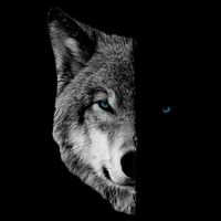 Wolf Split Face Wolf Magical Wolves Cooling Performance Crew T-Shirt