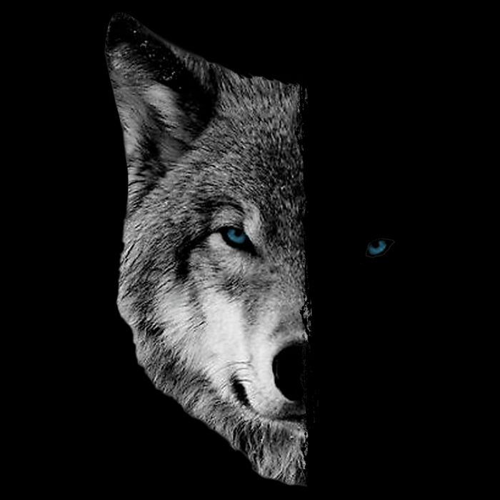Wolf Split Face Wolf Magical Wolves Cooling Performance Crew T-Shirt