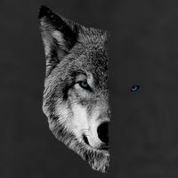 Wolf Split Face Wolf Magical Wolves Adult Drive Performance Visor