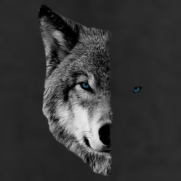 Wolf Split Face Wolf Magical Wolves Adult Drive Performance Visor