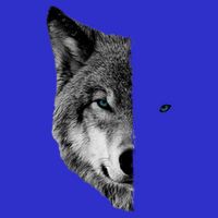 Wolf Split Face Wolf Magical Wolves Zip Tote Bag