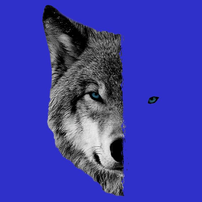 Wolf Split Face Wolf Magical Wolves Zip Tote Bag
