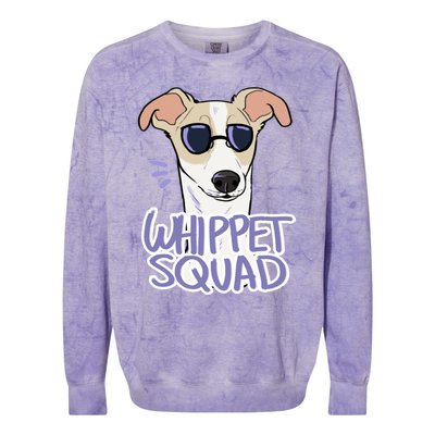 Whippet Squad (Fawn) Colorblast Crewneck Sweatshirt