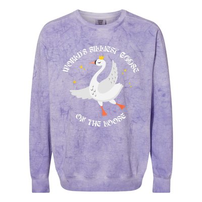 Worlds Silliest Goose On The Loose Funny Colorblast Crewneck Sweatshirt