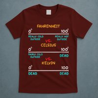 Womens Science Humor Chemistry Thermodynamics Joke T-Shirt