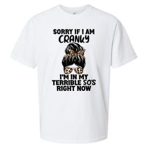 Wo Sorry If I Am Cranky I'm In My Terrible 50'S Right Now Sueded Cloud Jersey T-Shirt