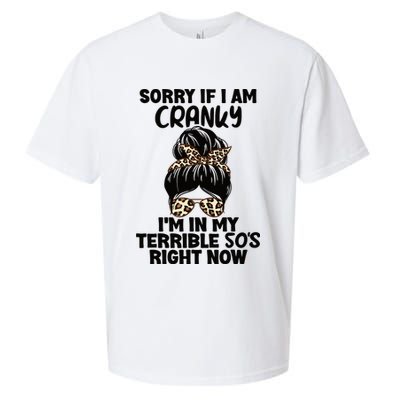 Wo Sorry If I Am Cranky I'm In My Terrible 50'S Right Now Sueded Cloud Jersey T-Shirt
