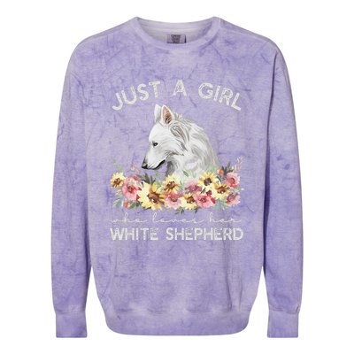 White Shepherd Just A White German Shepherd Dog Colorblast Crewneck Sweatshirt