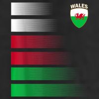 Welsh Soccer Jersey Wales Football Wales Flag 7 Panel Mesh Trucker Snapback Hat