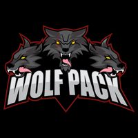 Wolfpack Sports Logo 16 in Basic Backpack