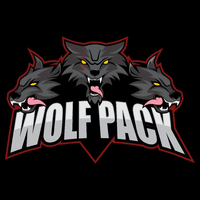 Wolfpack Sports Logo 16 in Basic Backpack