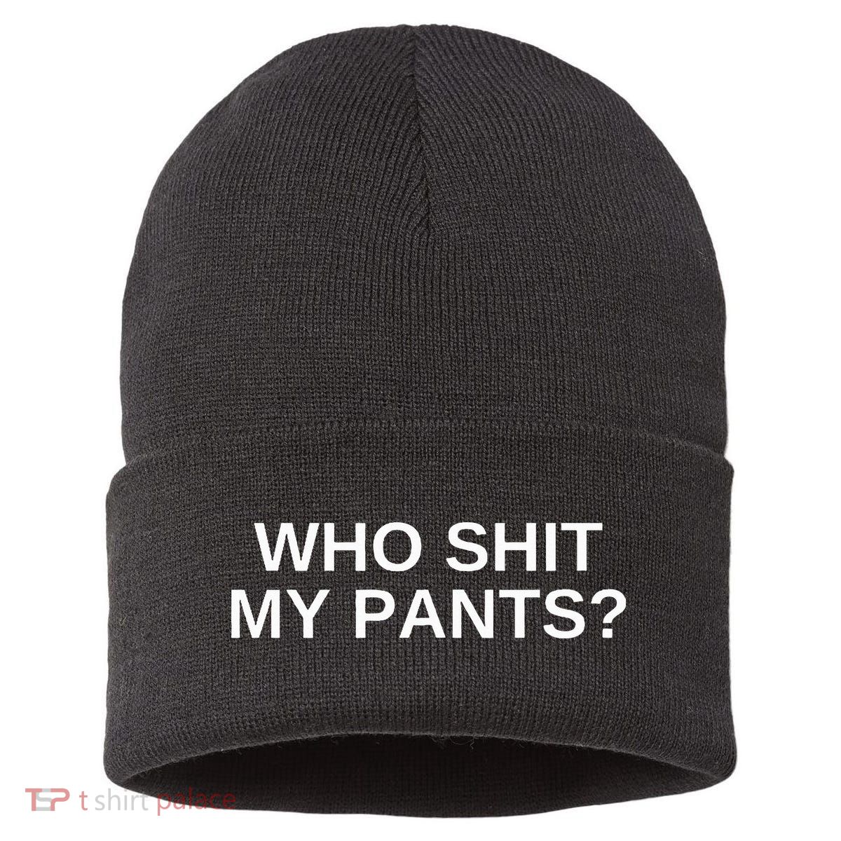 Who Shit My Pants Funny Offensive Dark Humor College Novelty Sustainable Knit Beanie