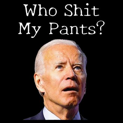 Who Shit My Pants Funny Anti Joe Biden T-Shirt