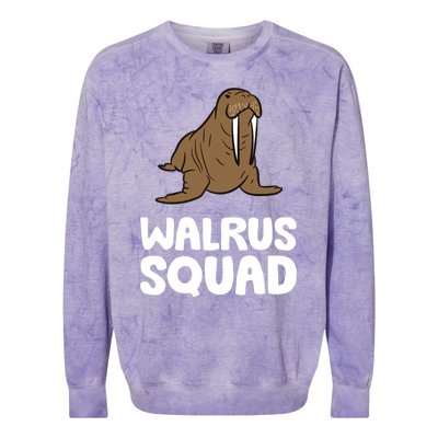 Walrus Squad Ocean Animal Funny Walrus Squad Premium Colorblast Crewneck Sweatshirt