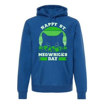 Wo St Patricks Day Outfit Cat Owner Cat Lover Gift Premium Hoodie