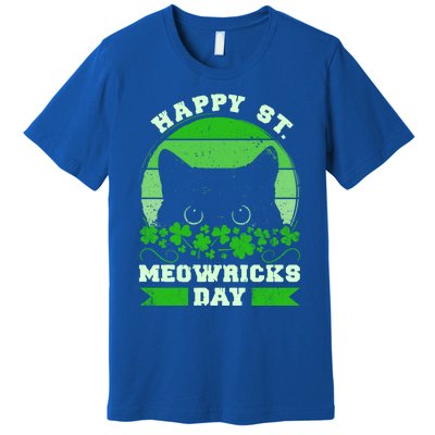 Wo St Patricks Day Outfit Cat Owner Cat Lover Gift Premium T-Shirt