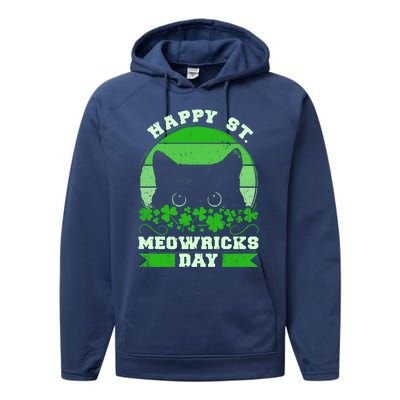 Wo St Patricks Day Outfit Cat Owner Cat Lover Gift Performance Fleece Hoodie