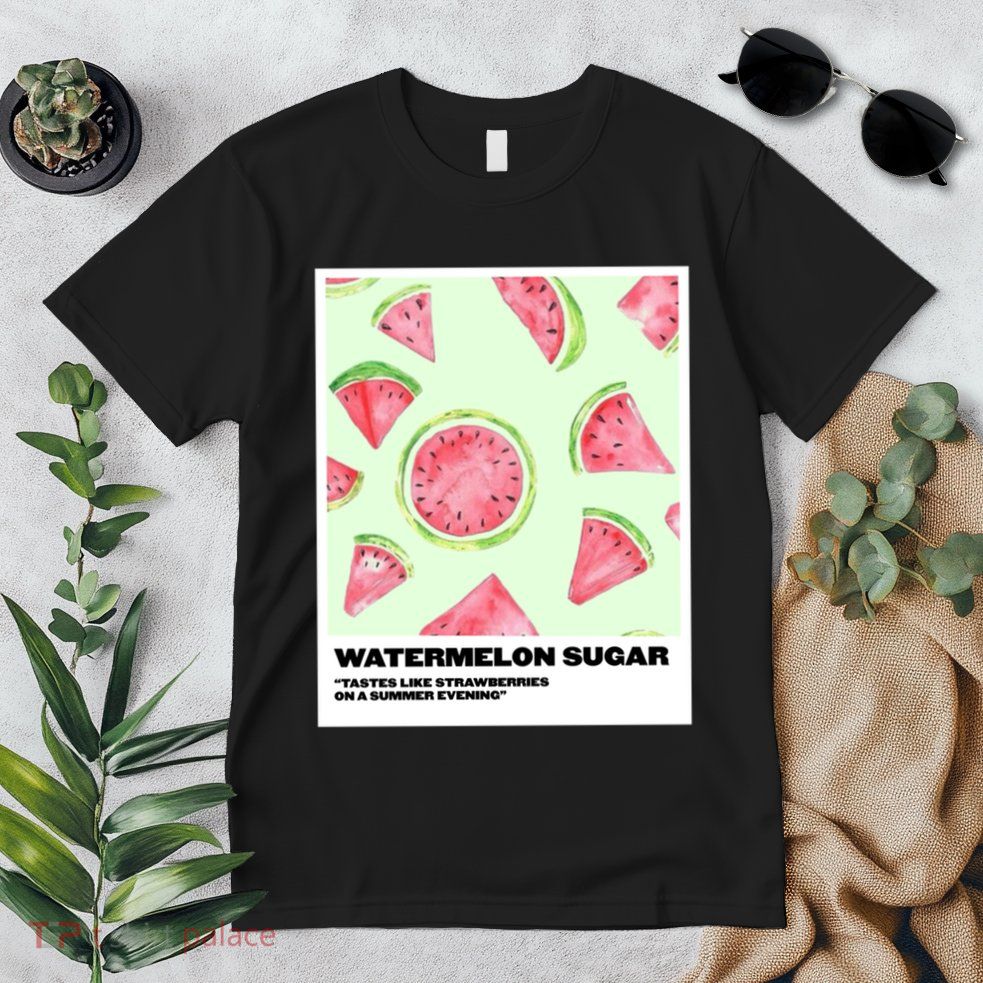 Watermelon Sugar Polaroid Premium T-Shirt