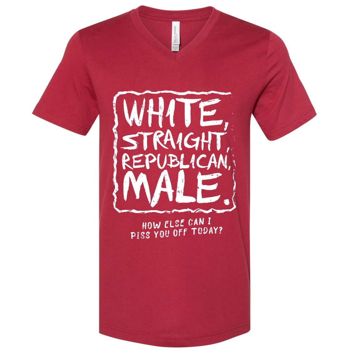 White Straight Republican Male V-Neck T-Shirt